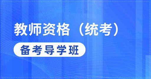 综合素质备考导学班（中学）