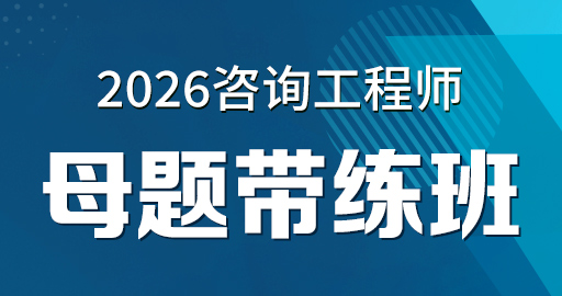 2026年咨询工程师【 项目决策分析与评价】精华母题班