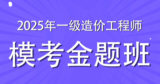 2025年一级造价师【水利案例】模考金题班-VIP
